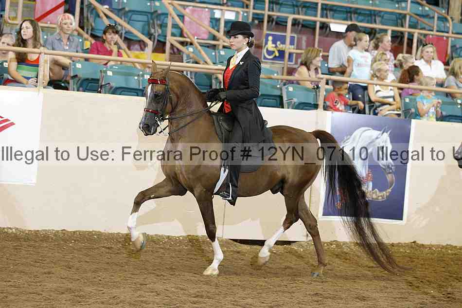 Proof 12yn_07110
