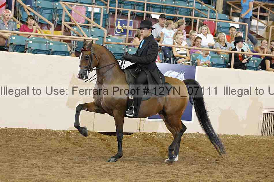 Proof 12yn_07111