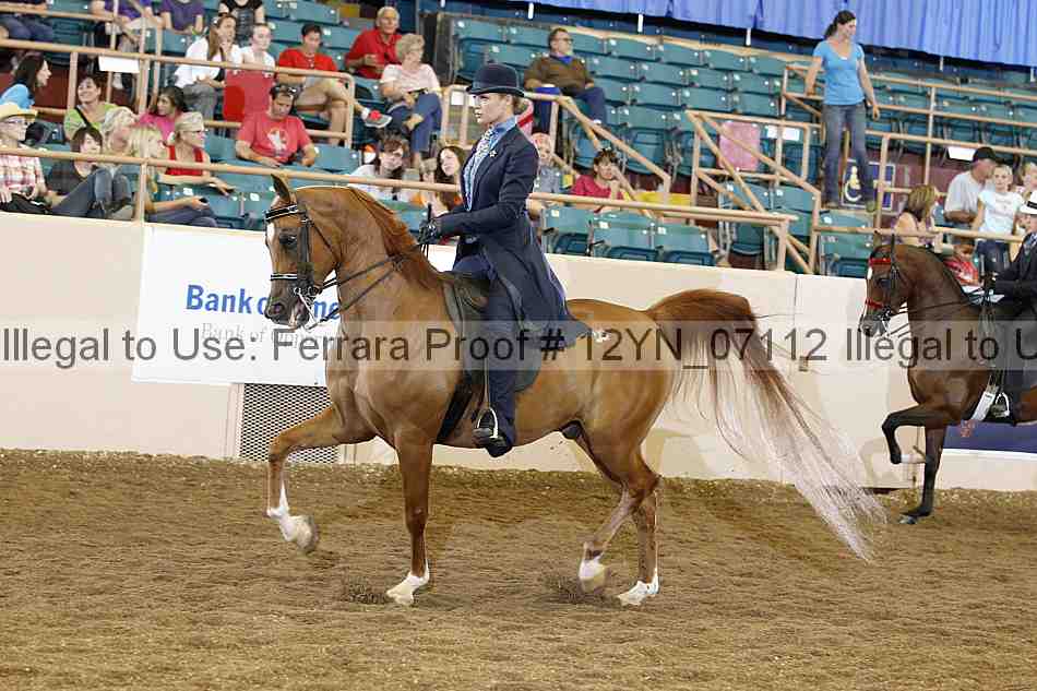 Proof 12yn_07112
