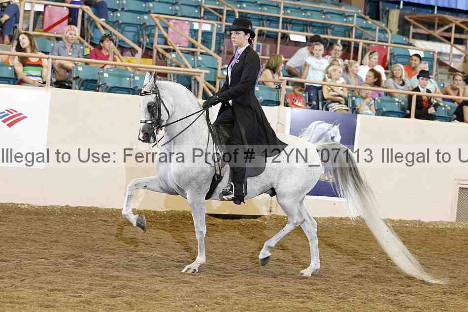 Proof 12yn_07113