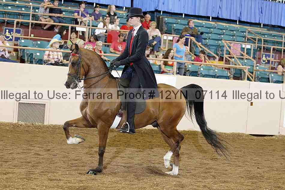 Proof 12yn_07114