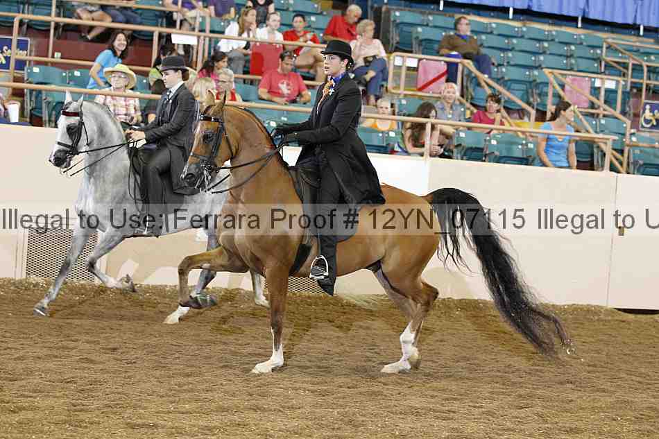 Proof 12yn_07115