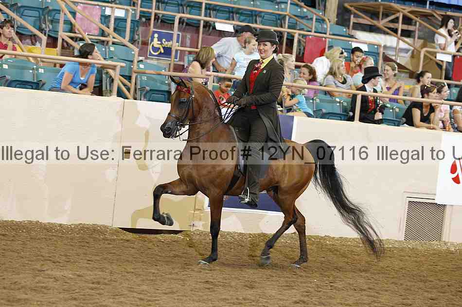 Proof 12yn_07116
