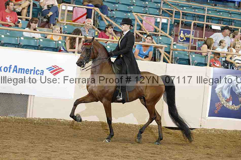 Proof 12yn_07117