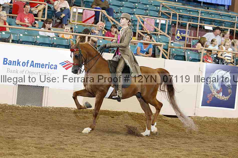 Proof 12yn_07119