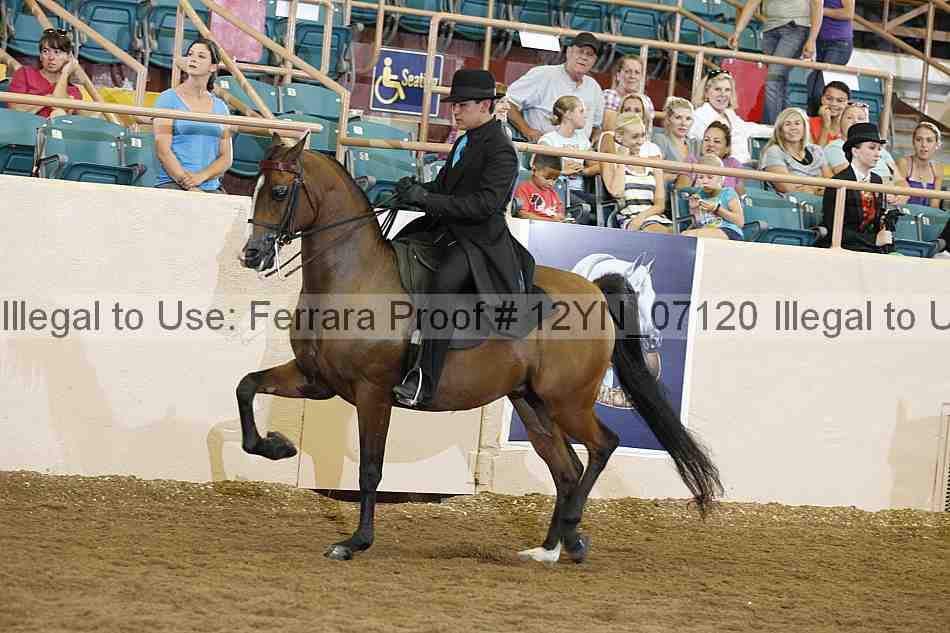 Proof 12yn_07120