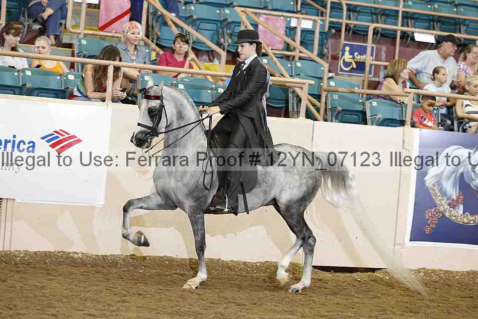 Proof 12yn_07123