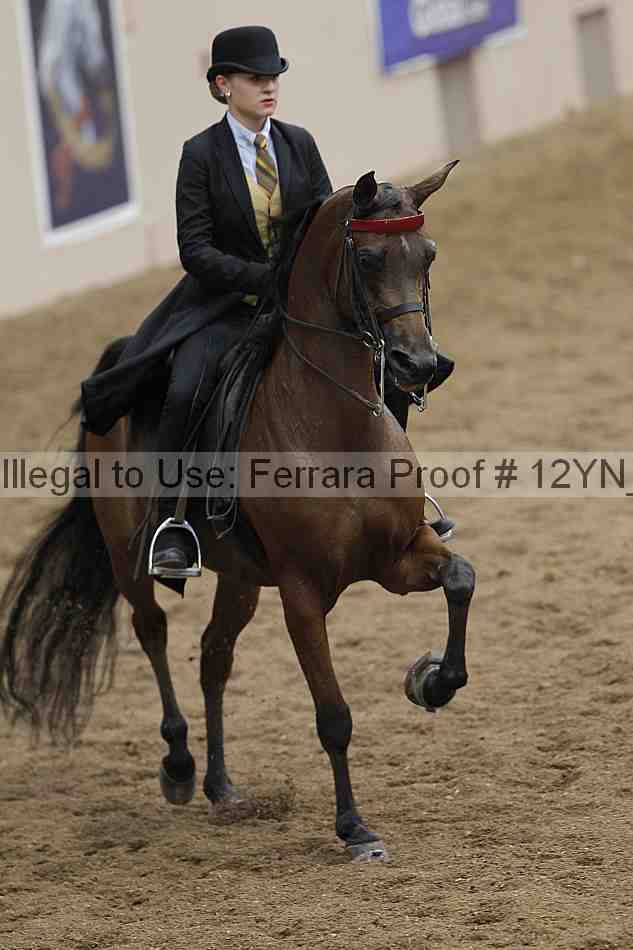 Proof 12yn_07124