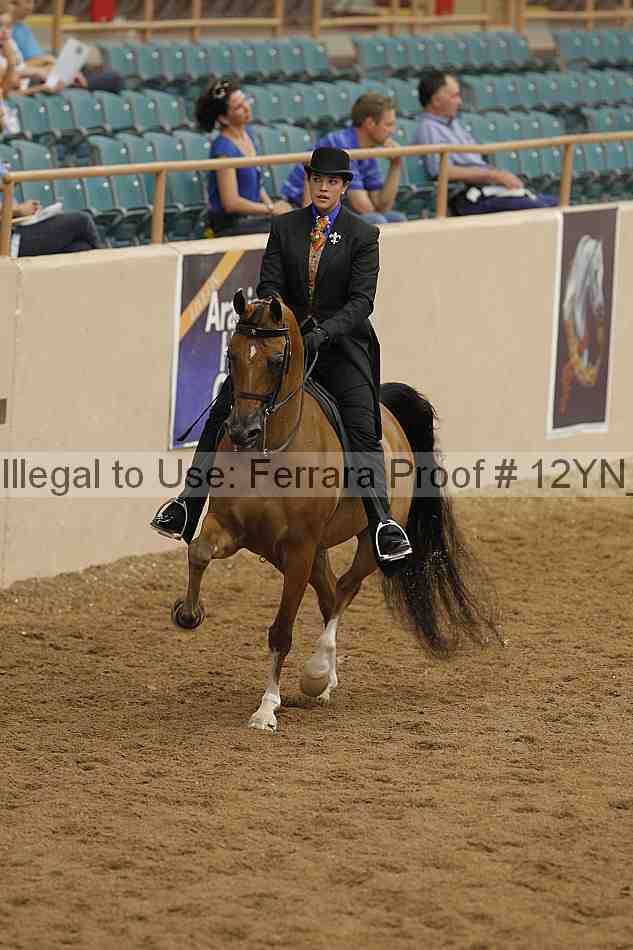 Proof 12yn_07127