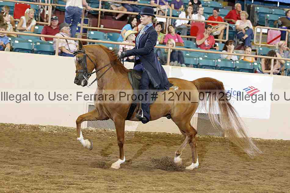 Proof 12yn_07129