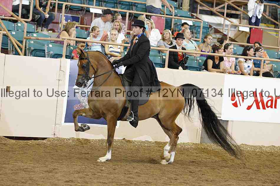 Proof 12yn_07134