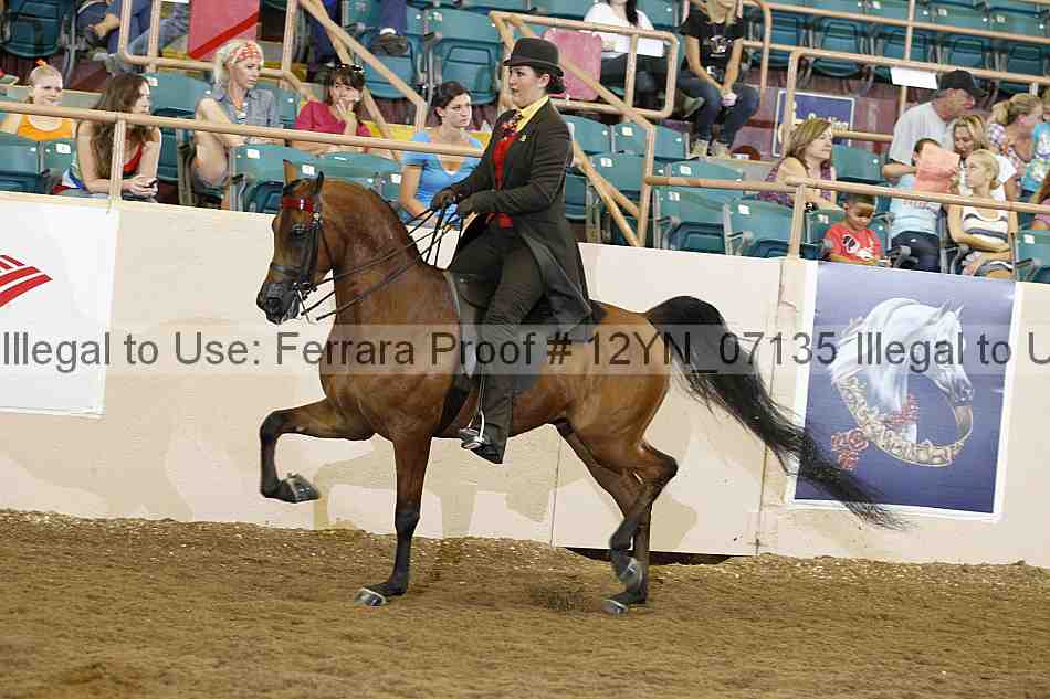 Proof 12yn_07135