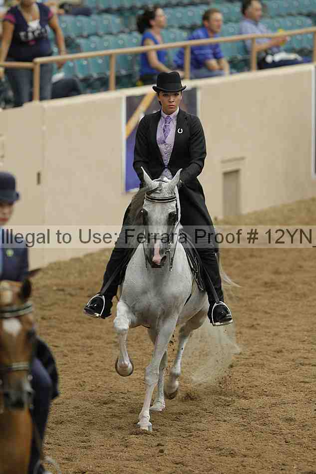 Proof 12yn_07137