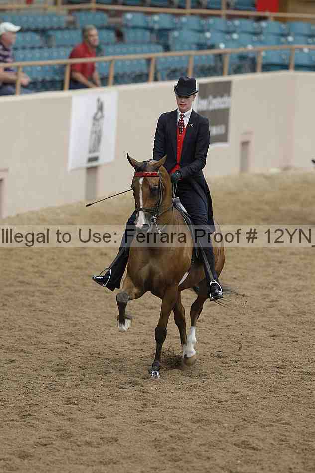 Proof 12yn_07141