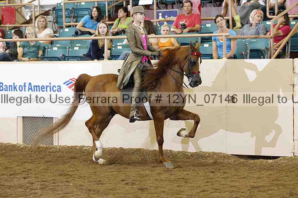 Proof 12yn_07146