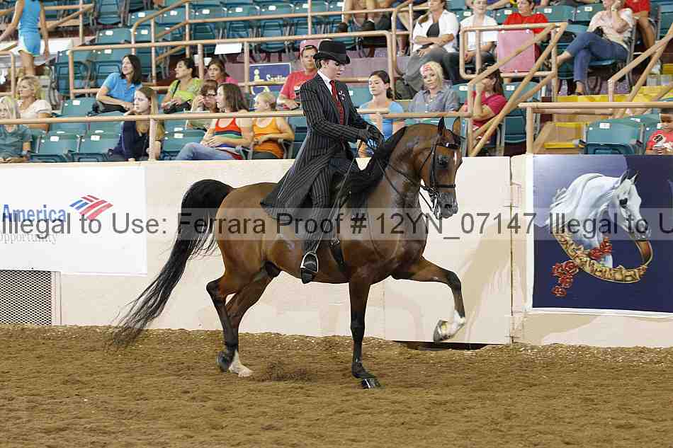 Proof 12yn_07147