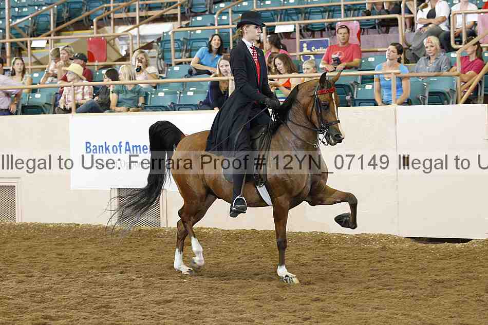 Proof 12yn_07149