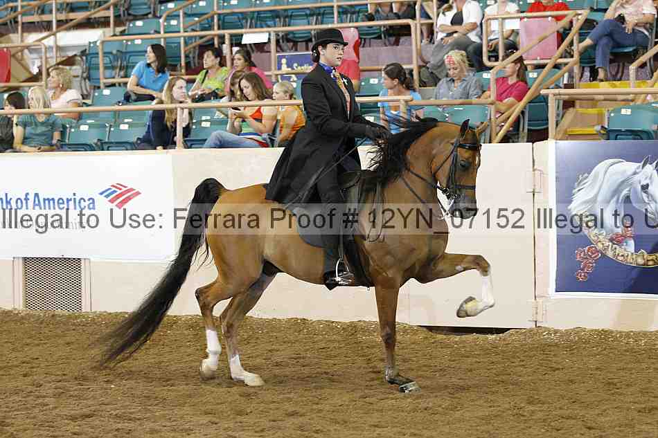 Proof 12yn_07152