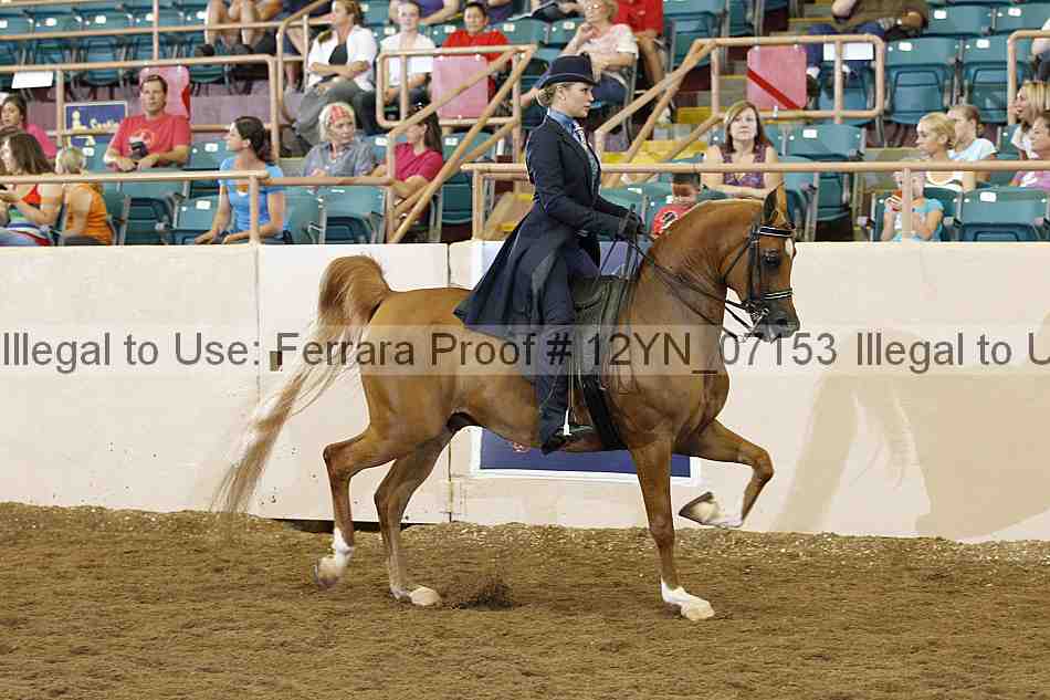 Proof 12yn_07153