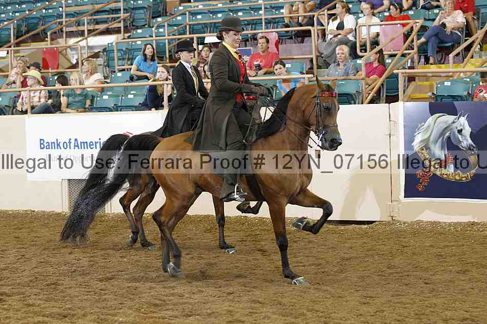 Proof 12yn_07156