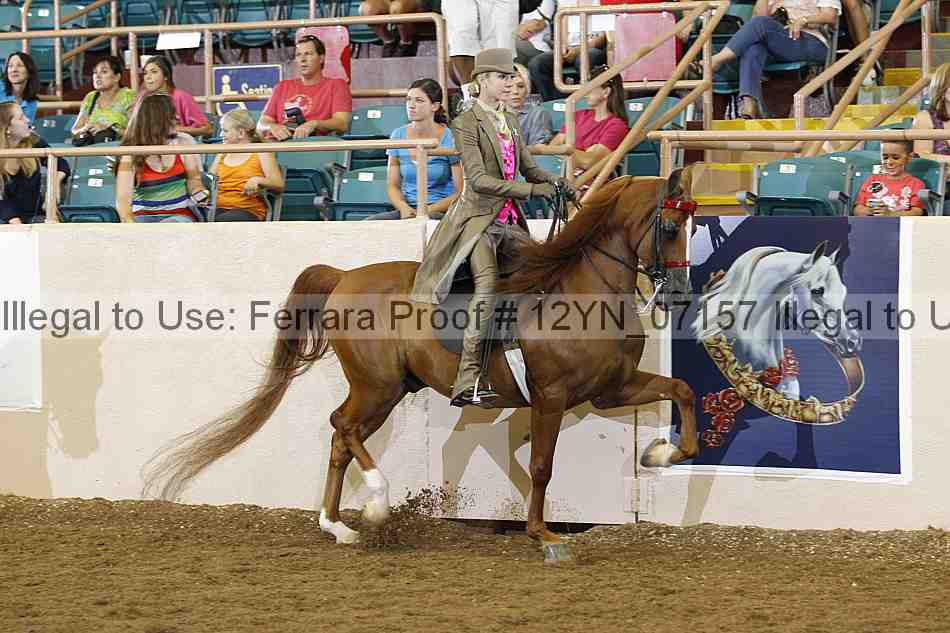 Proof 12yn_07157