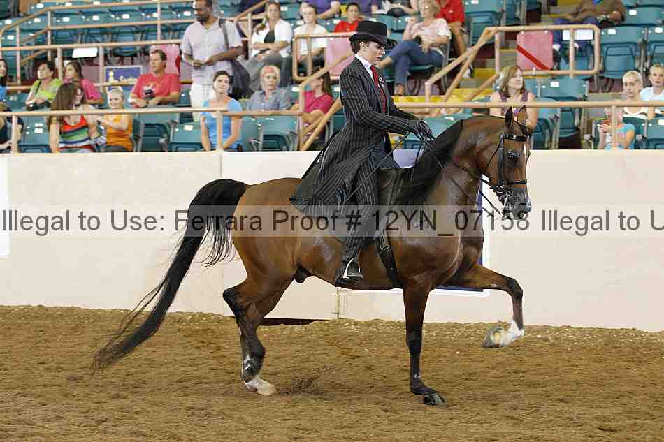 Proof 12yn_07158