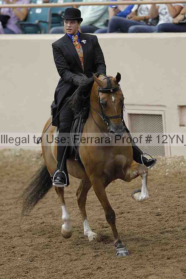 Proof 12yn_07162