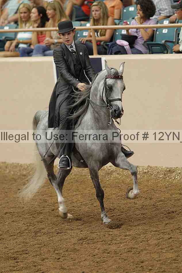 Proof 12yn_07165