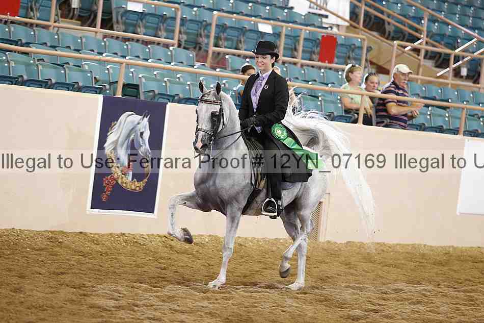 Proof 12yn_07169