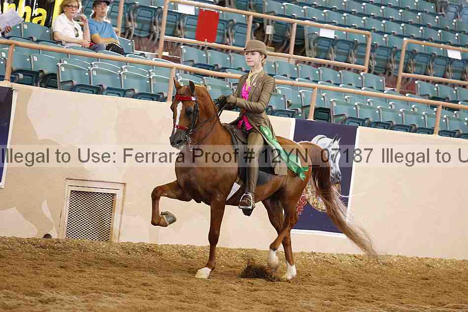 Proof 12yn_07187