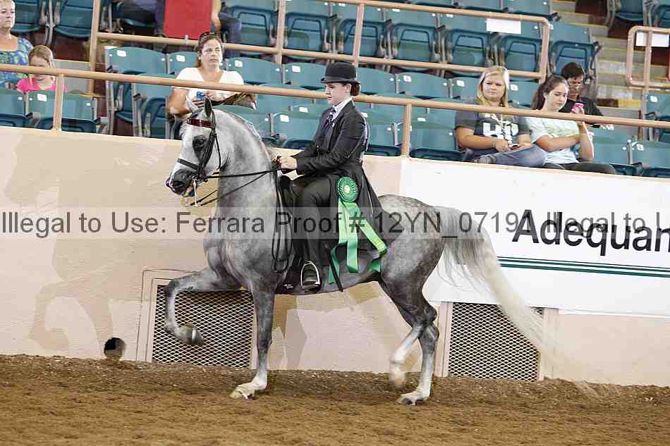 Proof 12yn_07191