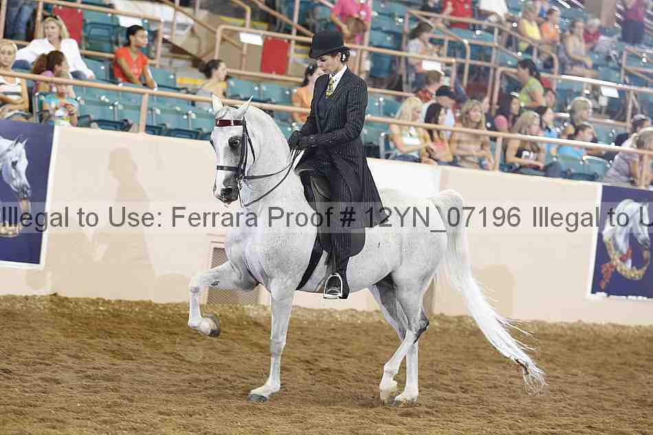 Proof 12yn_07196
