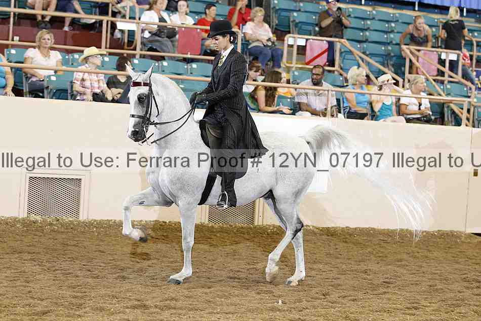 Proof 12yn_07197