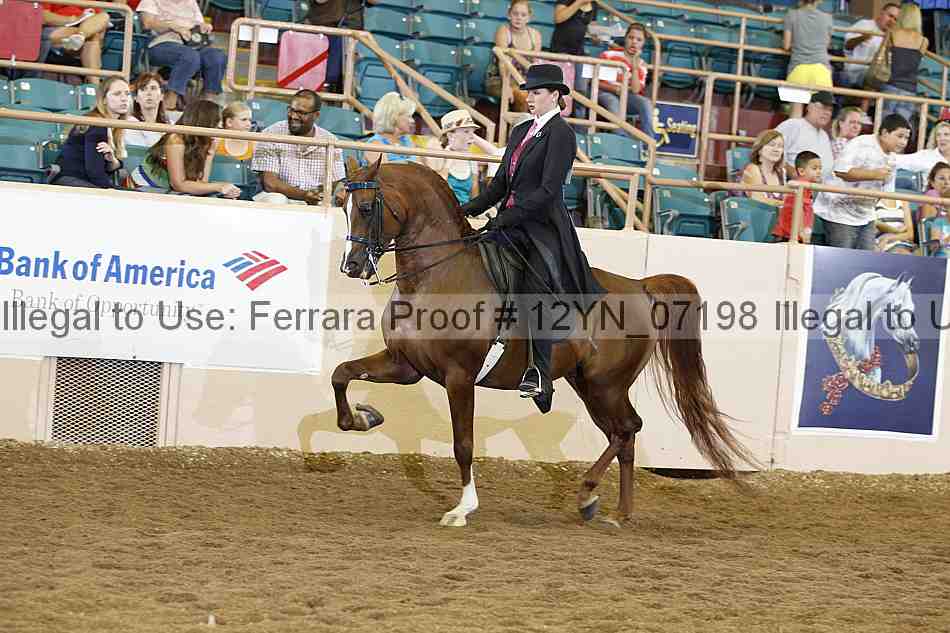 Proof 12yn_07198