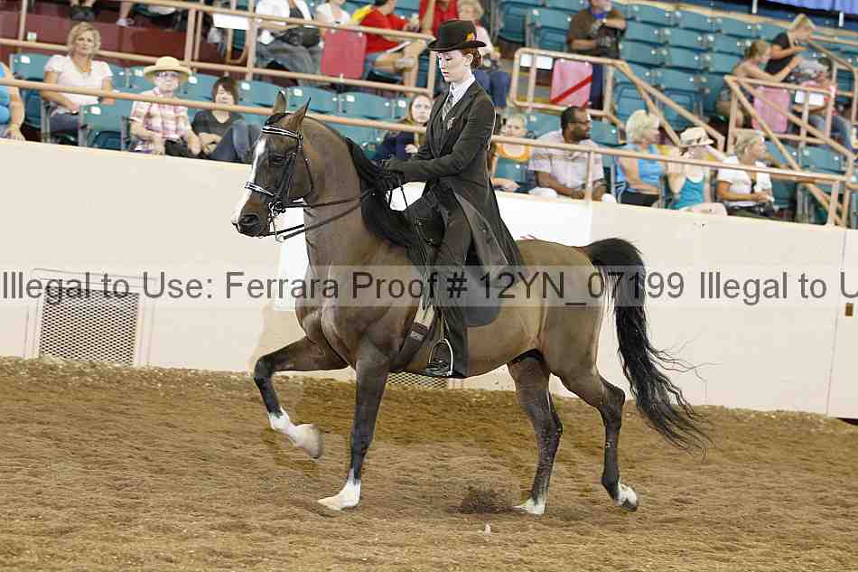 Proof 12yn_07199