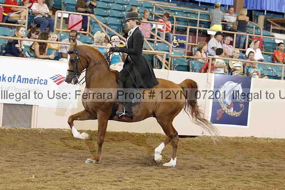 Proof 12yn_07201