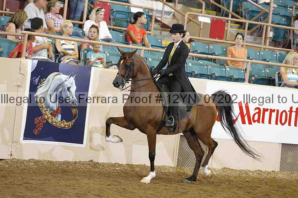 Proof 12yn_07202