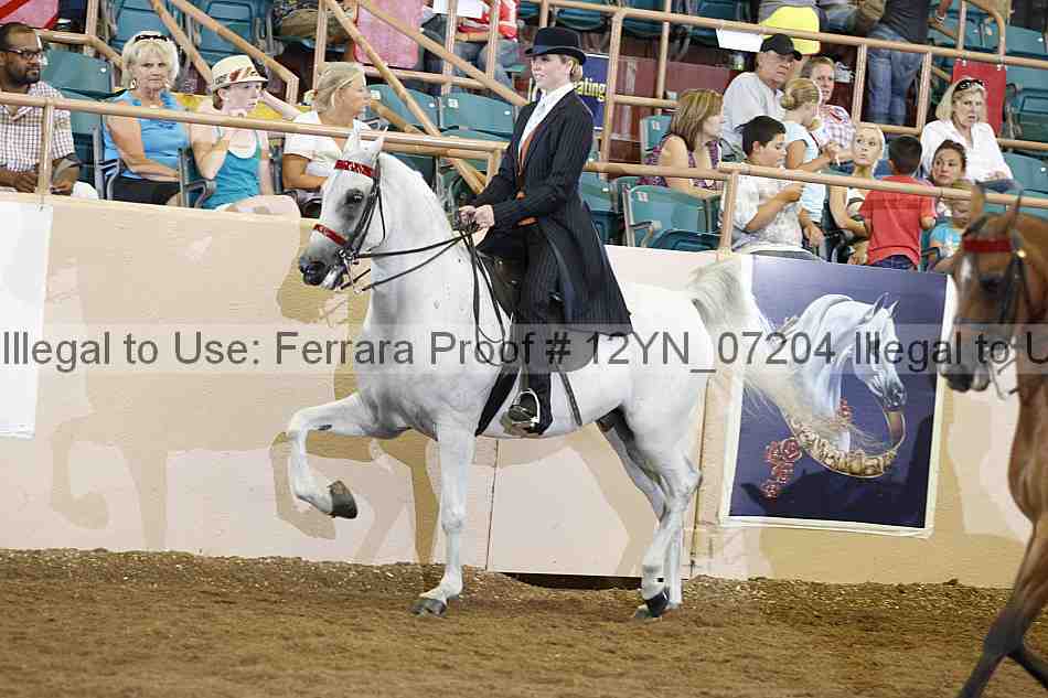 Proof 12yn_07204