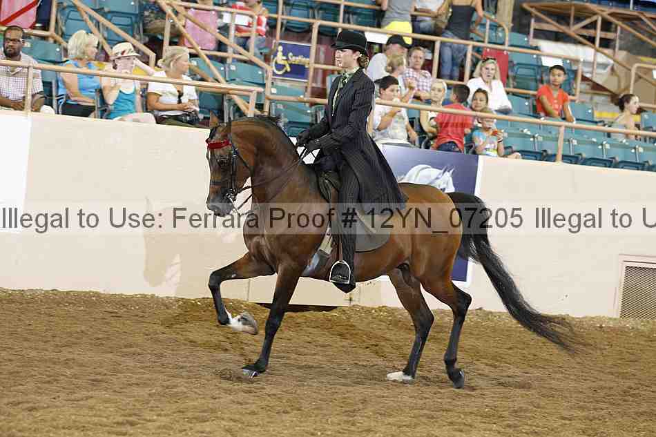 Proof 12yn_07205