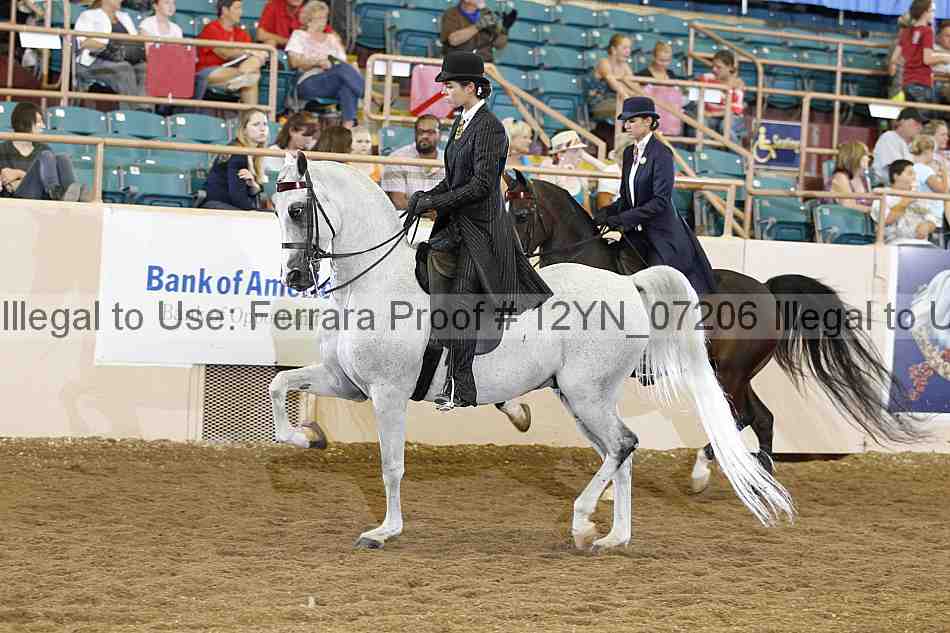Proof 12yn_07206