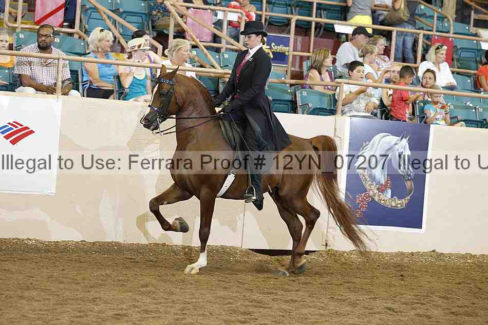 Proof 12yn_07207