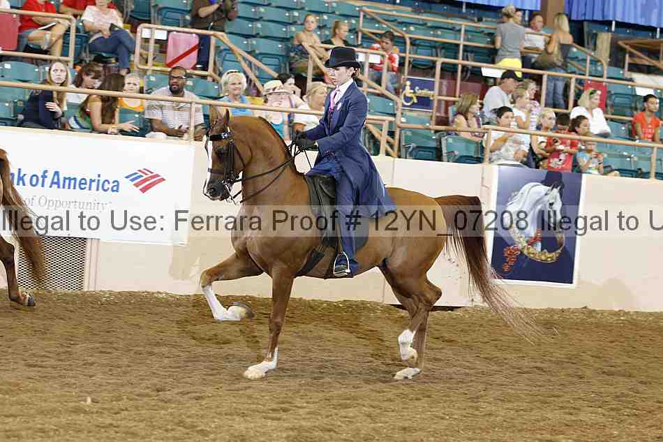 Proof 12yn_07208