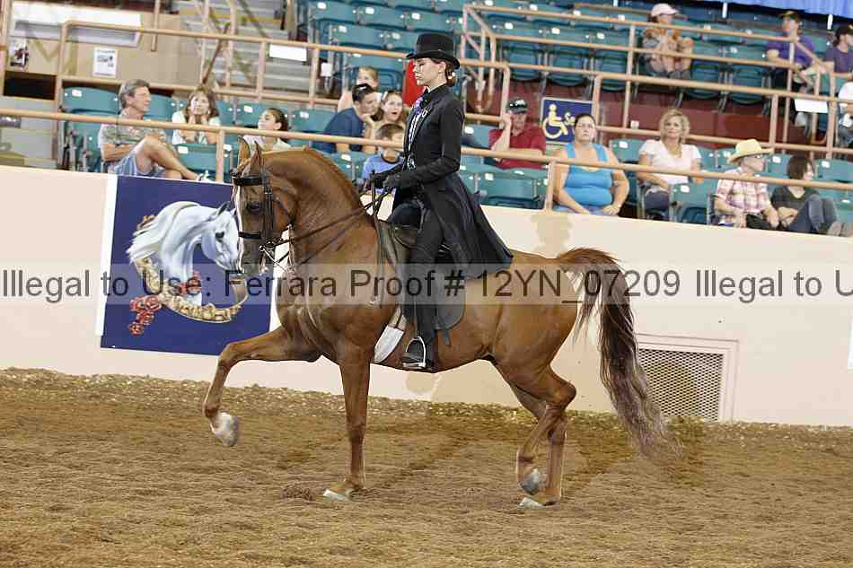Proof 12yn_07209
