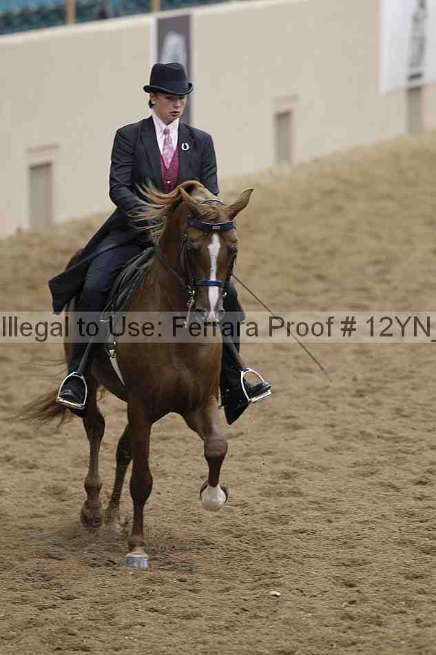 Proof 12yn_07213