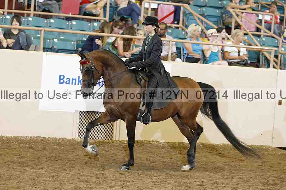 Proof 12yn_07214