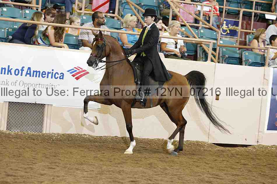 Proof 12yn_07216