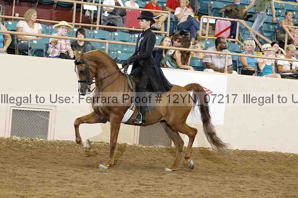 Proof 12yn_07217