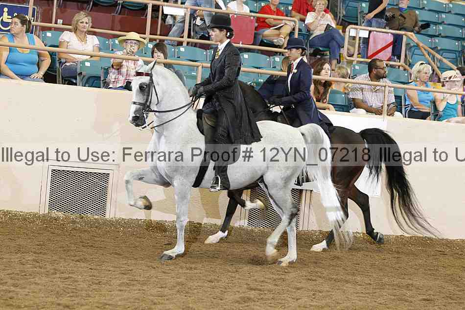 Proof 12yn_07218