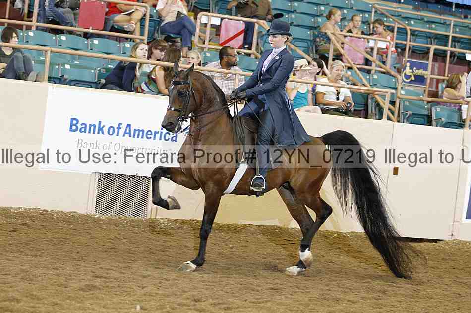 Proof 12yn_07219