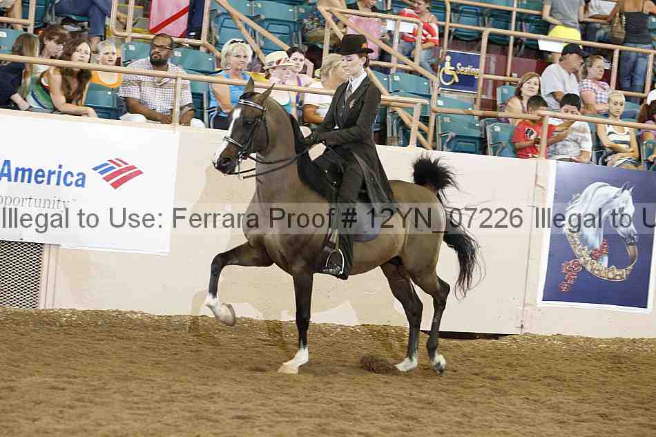 Proof 12yn_07226
